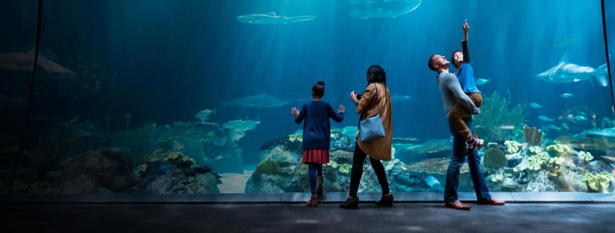 Family at aquarium tank with sharks and sea life