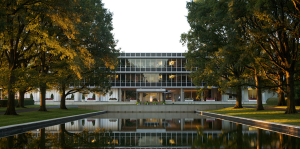 Glass building with reflecting pool and trees in golden light