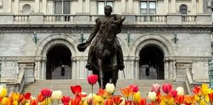 Albany Capitol building with red and yellow tulips in front