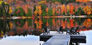 Fall trees and lake with dock