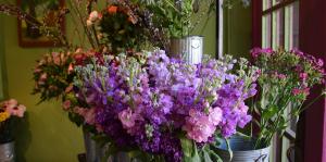 bouquet of purple flowers