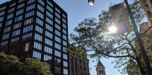 41 State Street image with sun shining through leaves