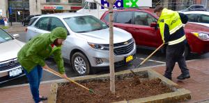 Executive Director and Clean Team supervisor rake the tree bed along the sidewalk on State Street