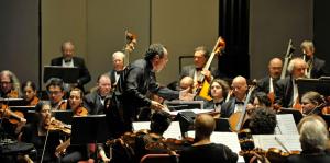 View from the edge of the ensemble, the Albany Symphony Orchestra in the middle of a performance