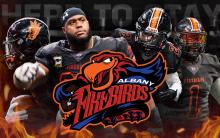 Firebirds season image