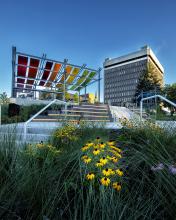 Clinton Market Collective